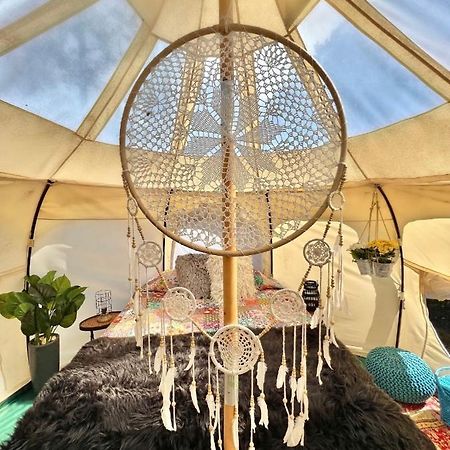 The Aries-A Stargazing, Luxury Glamping Tent Rogersville Bagian luar foto