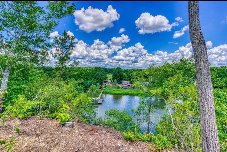The Aries-A Stargazing, Luxury Glamping Tent Rogersville Bagian luar foto