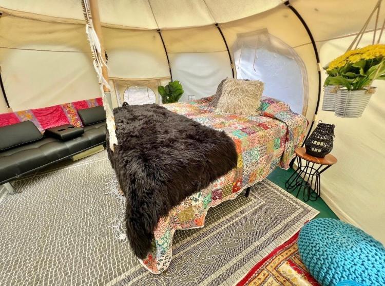 The Aries-A Stargazing, Luxury Glamping Tent Rogersville Bagian luar foto
